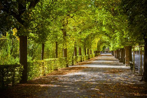 Can You Trust Your Conscience?  (Part I)